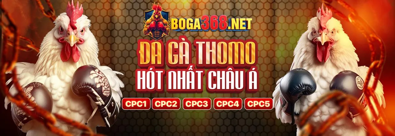Bảo mật thông tin tại tỷ lệ bóng đá kèo nhà cái